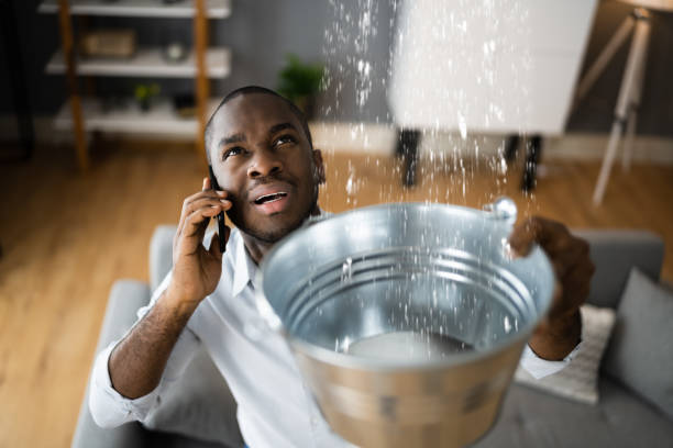 Best Water damage contractors near me  in Incline Village, NV