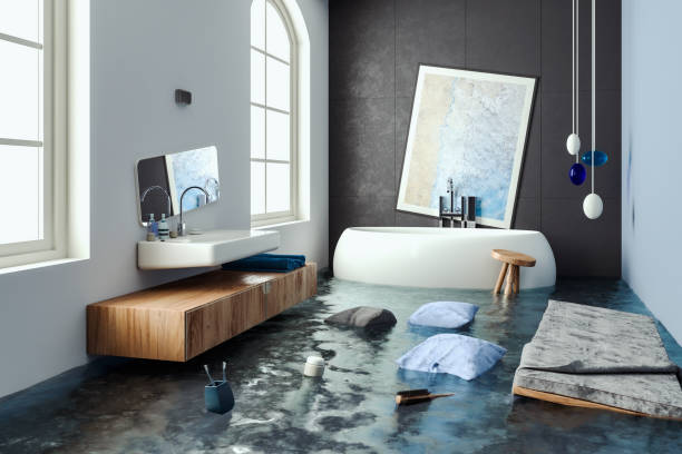 Best Water damage restoration near me  in Incline Village, NV