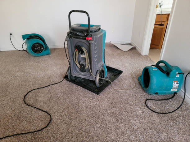 Water damage restoration mold remediation in Incline Village, NV