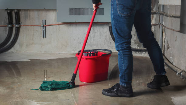 Best Water damage contractors near me  in Incline Village, NV