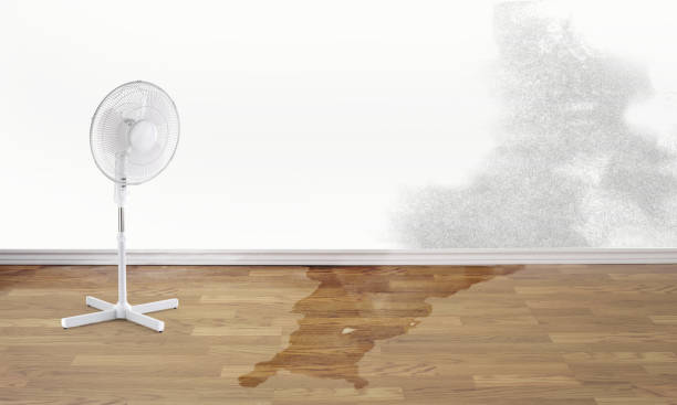 Reliable Incline Village, NV Water damage restoration Solutions