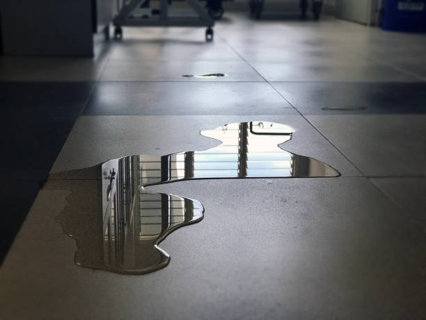 Best Carpet water damage restoration  in Incline Village, NV