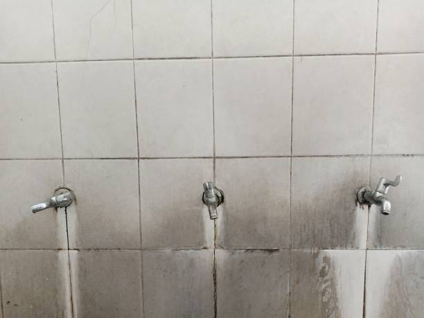 Best Fire Damage Restoration  in Incline Village, NV