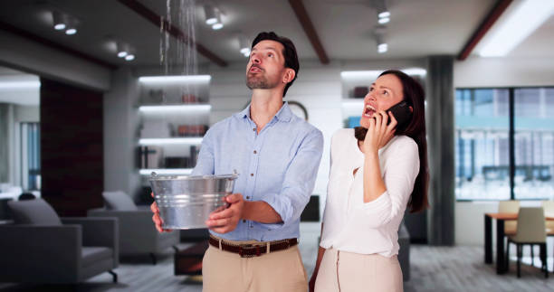 Best Carpet water damage restoration  in Incline Village, NV
